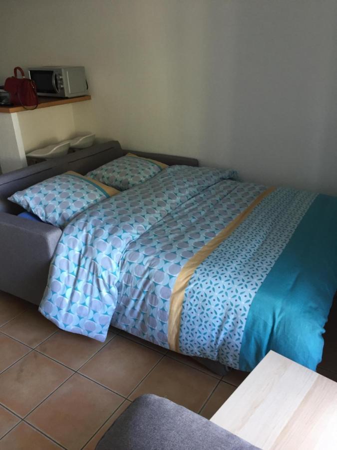 Appartement Residence Prive Avec Parking Wifi Clim Piscine Avignon Buitenkant foto